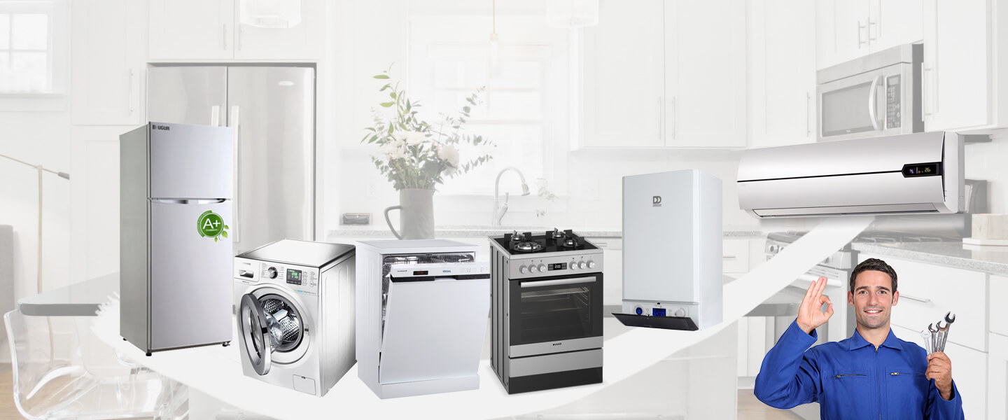 Güdül Smeg Servisi